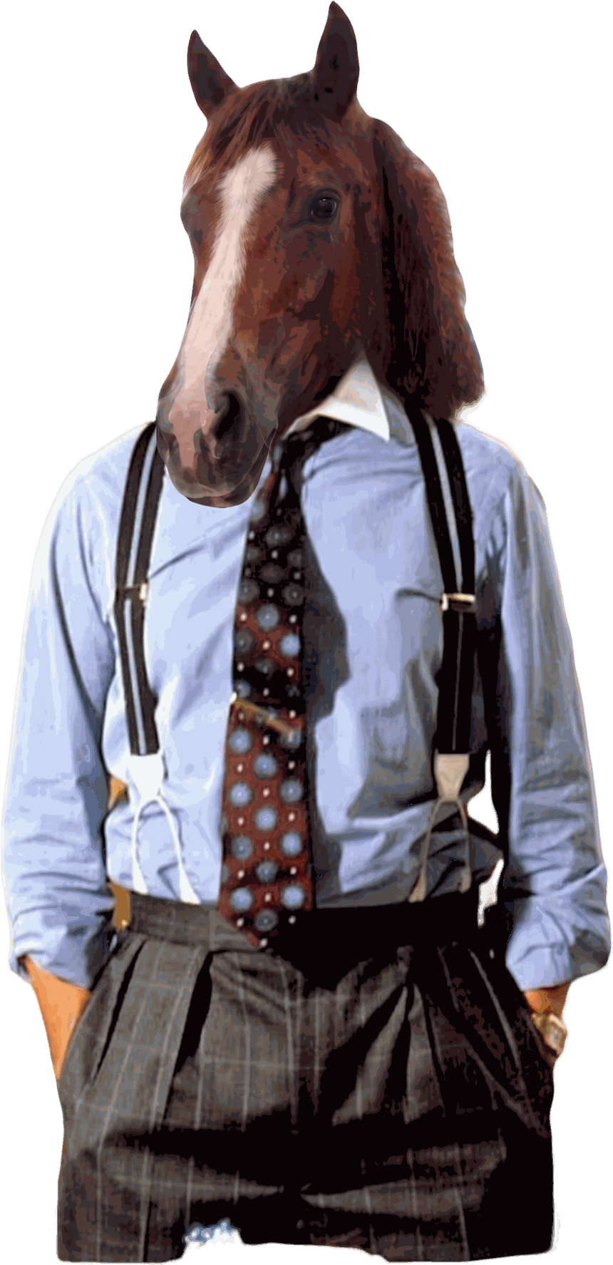 Horsy