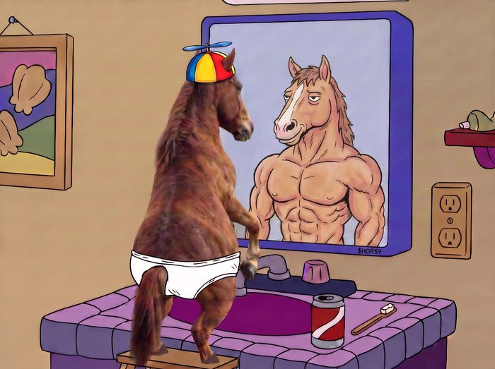 Horsy seeing himself in the mirror